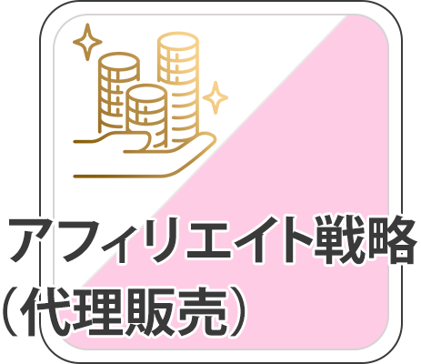 アフィリエイト戦略
            （代理販売）